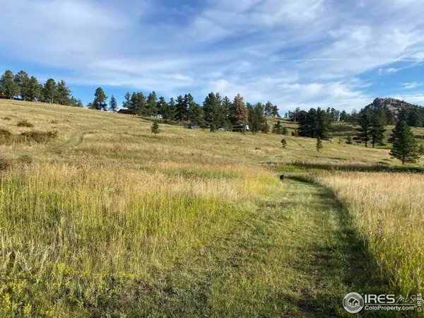 78 Mount Champion Dr, Livermore, CO 80536