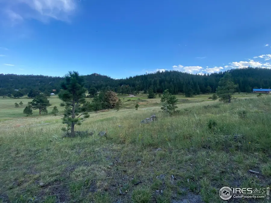 78 Mount Champion Dr, Livermore, CO 80536 - Image #3