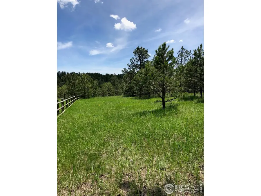 442 Quarter Circle Ln, Evergreen, CO 80439 - #3