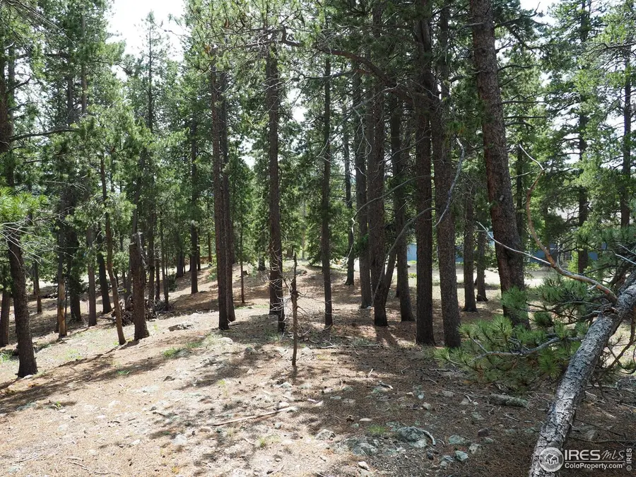 0 Caesar Rd, Black Hawk, CO 80422 - #3