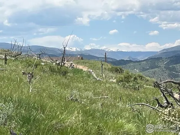 598 Mount Mcconnell Dr, Livermore, CO 80536