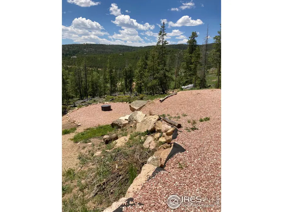 717 Micmac Dr, Red Feather Lakes, CO 80545 - #3