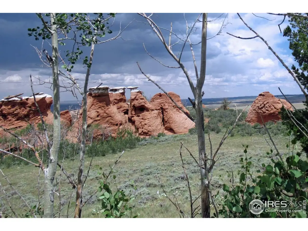 Address Withheld By Seller, Livermore, CO 80536 - Image #1