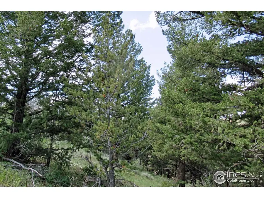 Address Withheld By Seller, Livermore, CO 80536 - Image #3