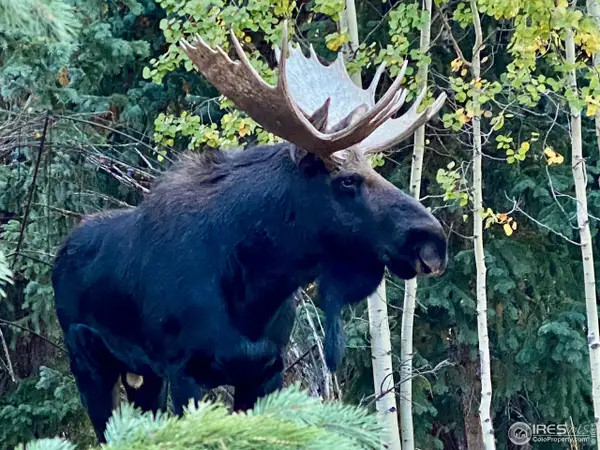 16903 Highway 119, Black Hawk, CO 80422