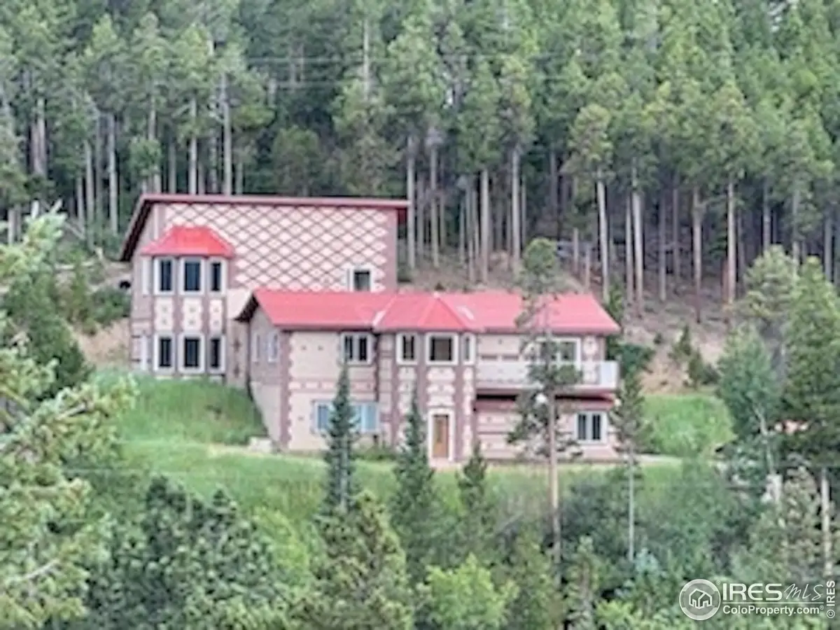 8 Valley View Dr, Nederland, CO 80466 - Image #1