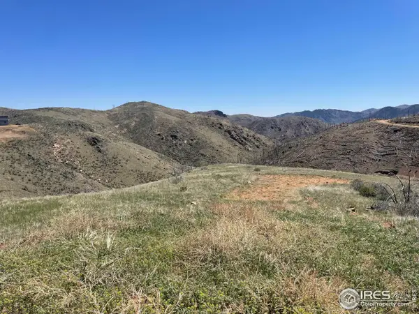 890 Meadow Mountain Dr, Livermore, CO 80536