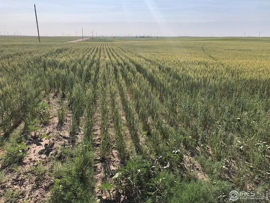 0 Cr 70, Briggsdale, CO 80611 - #3