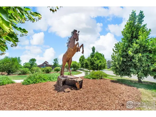 1968 Blue Yonder Way, Fort Collins, CO 80525