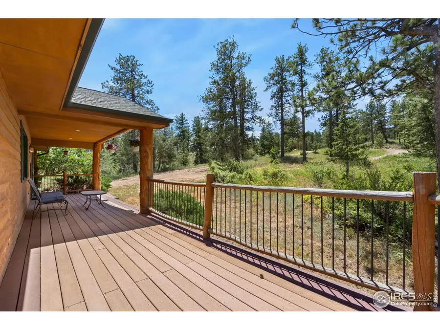 556 Bald Mountain Dr, Livermore, CO 80536 - #3