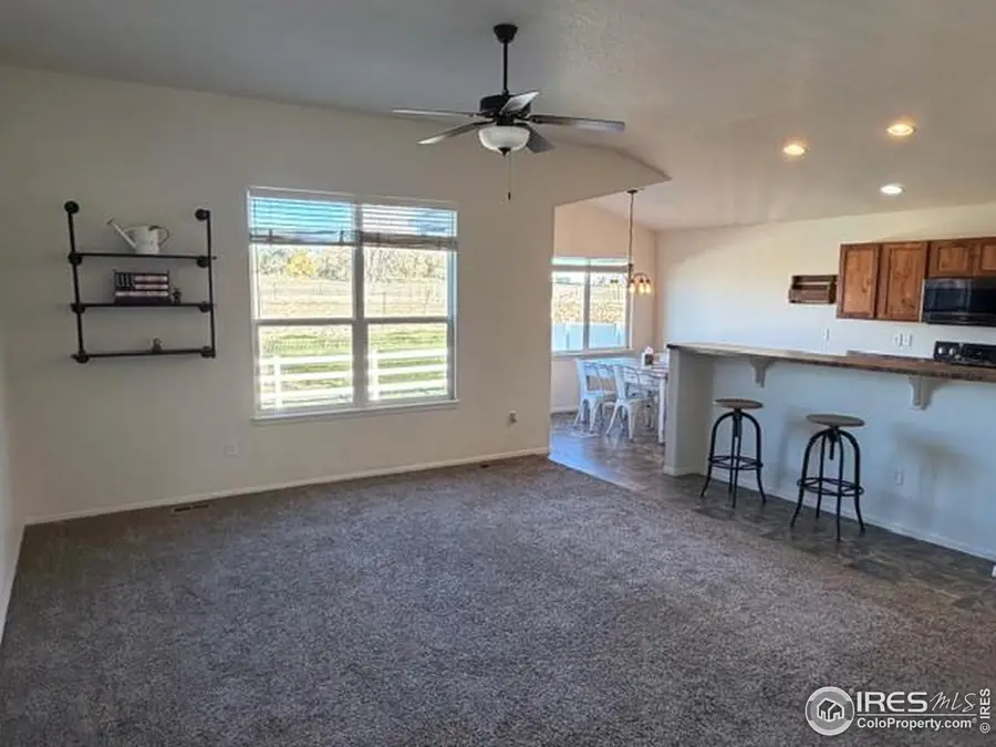 586 Cherryridge Dr, Windsor, CO 80550 - #3