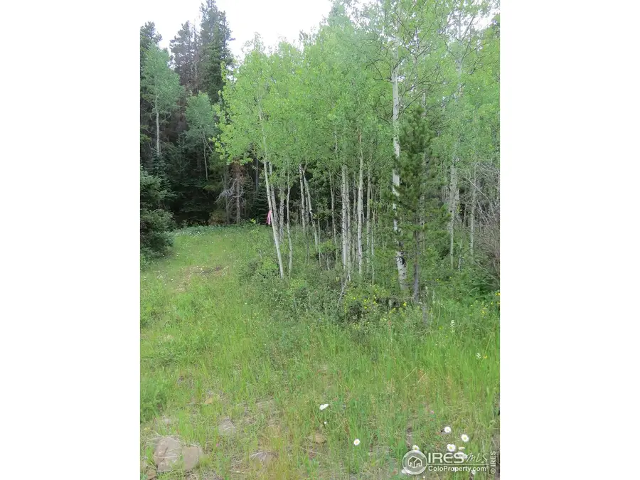 Peak To Peak Hwy, Nederland, CO 80466 - #3