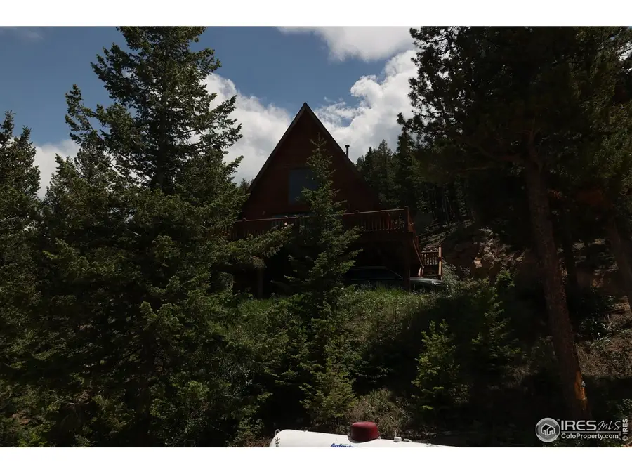 254 Arrowood Dr, Lyons, CO 80540 - #3