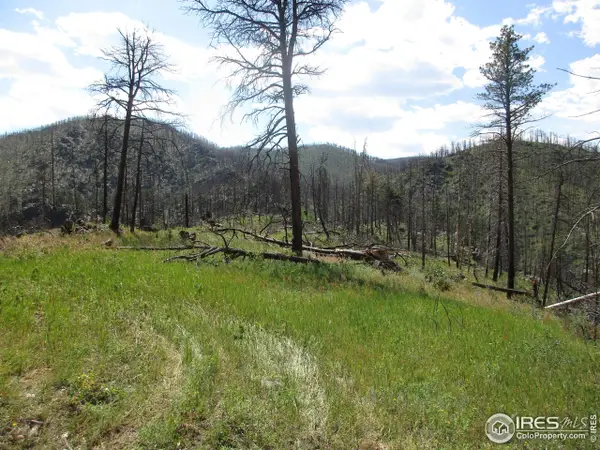 0 County Rd 44h, Bellvue, CO 80512