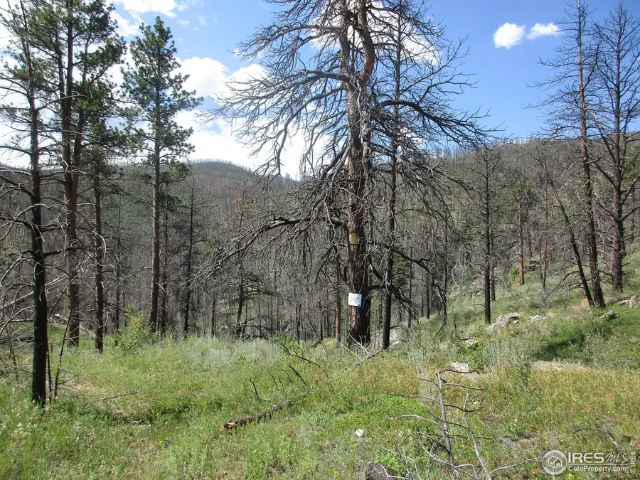 0 County Rd 44h, Bellvue, CO 80512 - Image #3