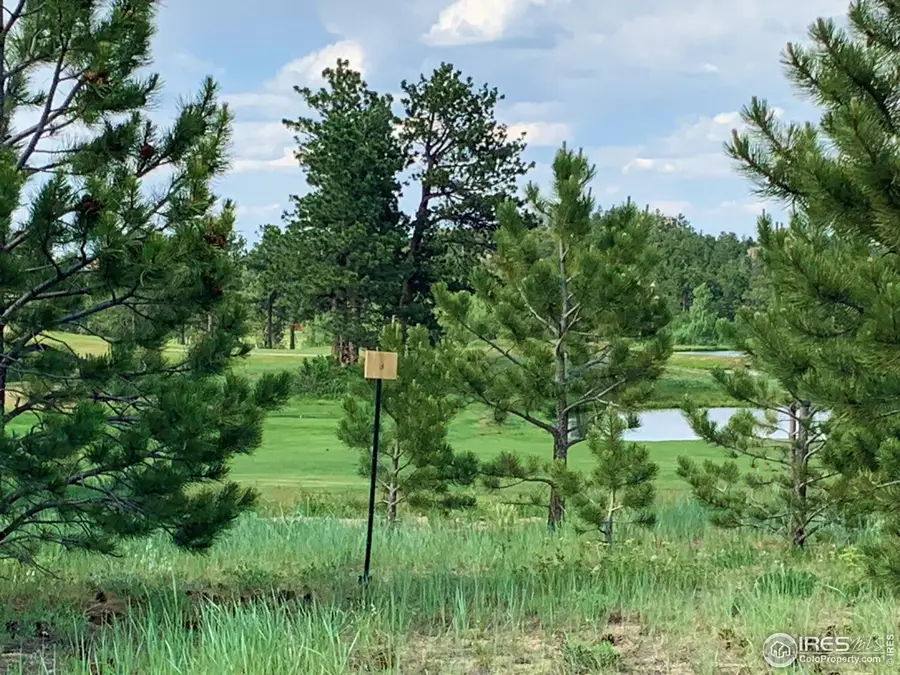 3 Fox Meadow Ln #Lot 3, Red Feather Lakes, CO 80545 - #2
