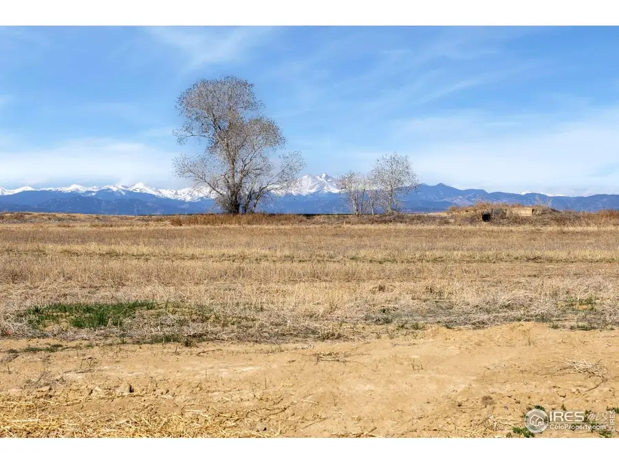 15135 Mattana Dr, Mead, CO 80542 - #2