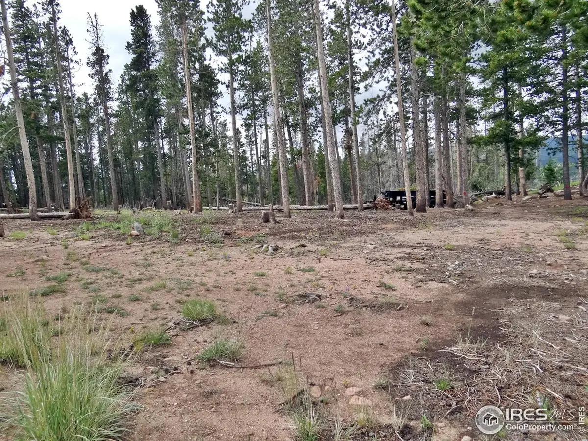 1921 Osage Trl, Red Feather Lakes, CO 80545 - Image #1