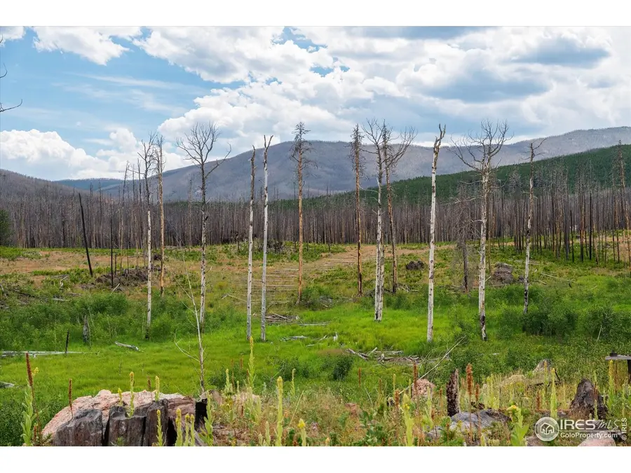 529 Quartz Rd, Bellvue, CO 80512 - Image #2