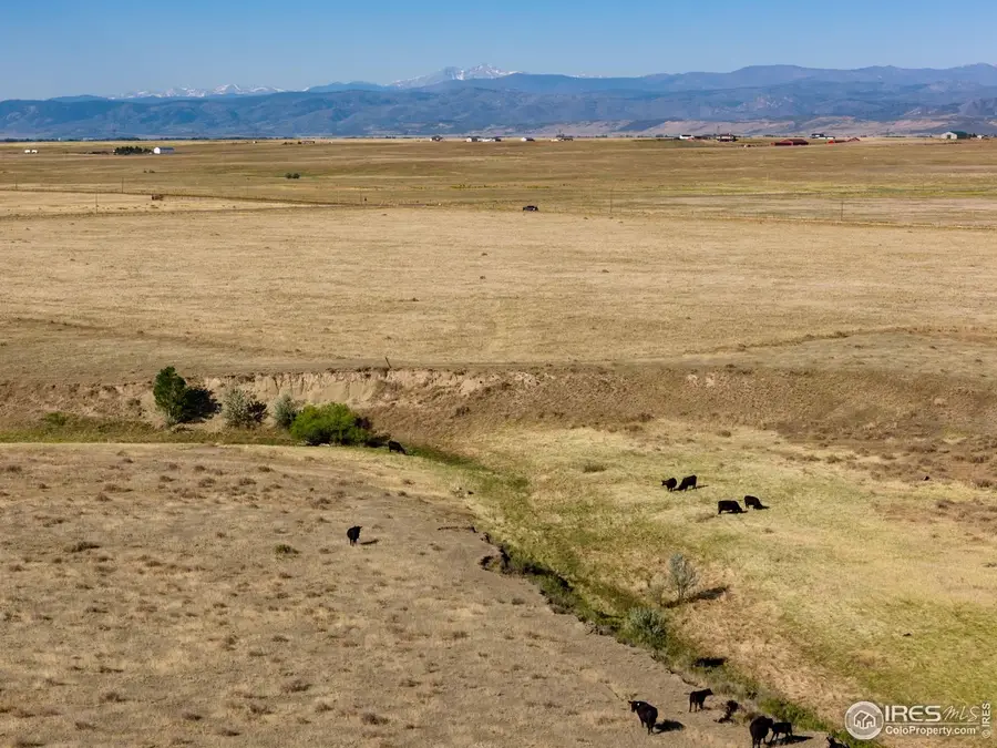 Cr 82, Wellington, CO 80549 - Image #2