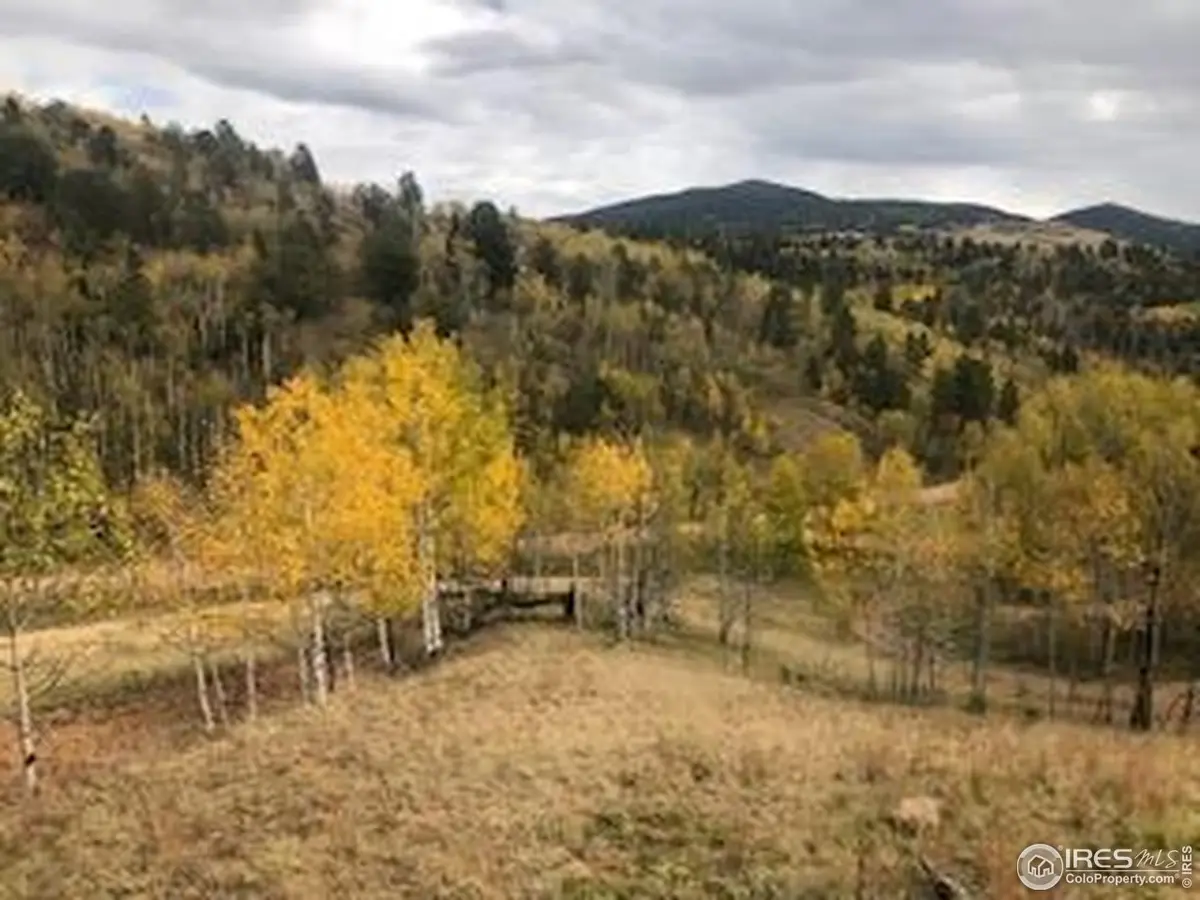 499 Granite Ln, Cripple Creek, CO 80813 - Image #1