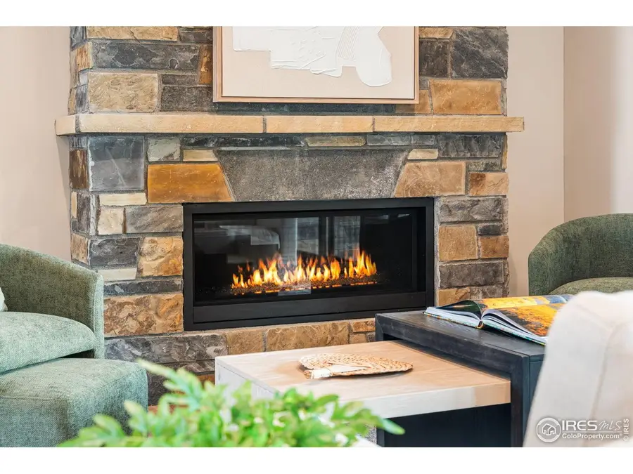 6719 Morning Song Ct, Timnath, CO 80547 - #3