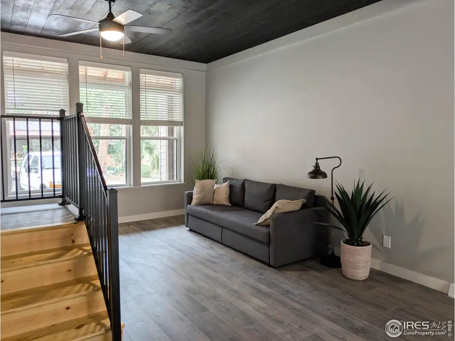 710 Mcmillen Way, Nederland, CO 80466 - #2