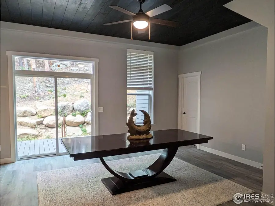 710 Mcmillen Way, Nederland, CO 80466 - #3
