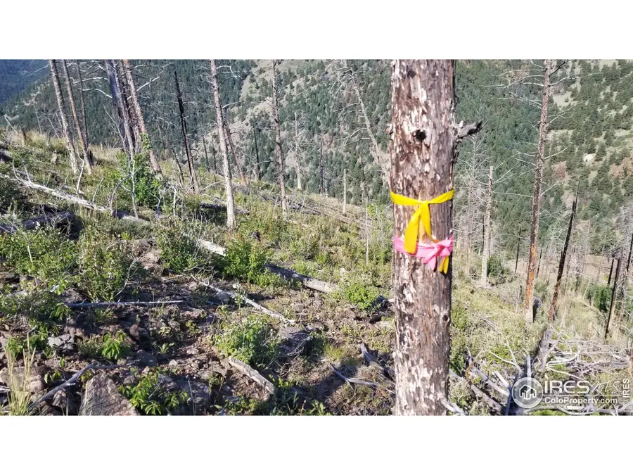 0 Gold Trl, Boulder, CO 80302 - Image #2