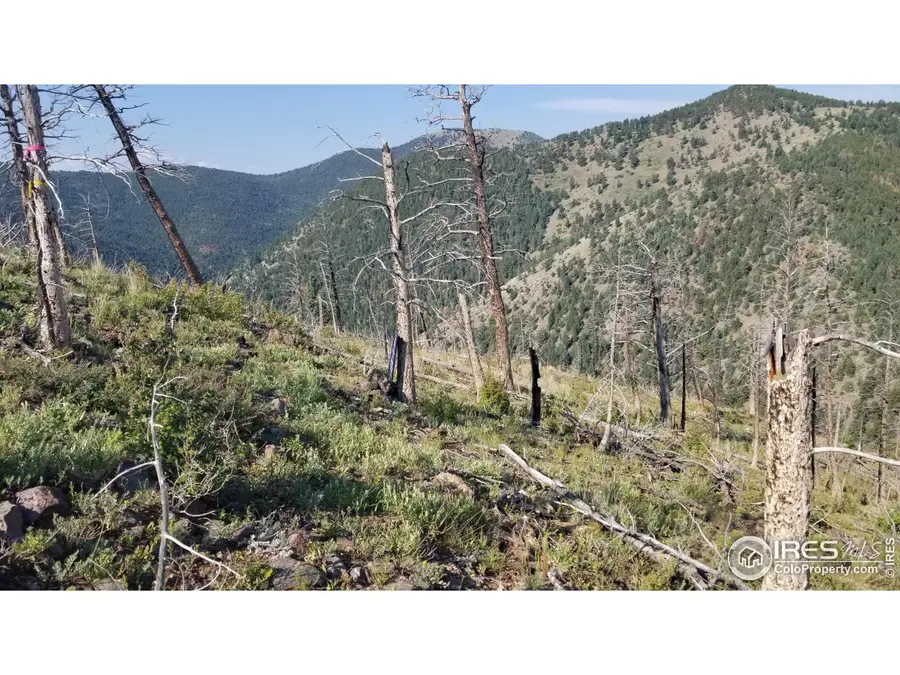 0 Gold Trl, Boulder, CO 80302 - Image #3