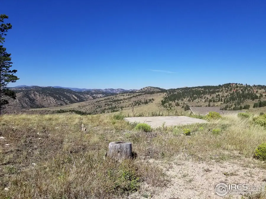 59 Bobcat Mountain Ct, Livermore, CO 80536 - Image #3