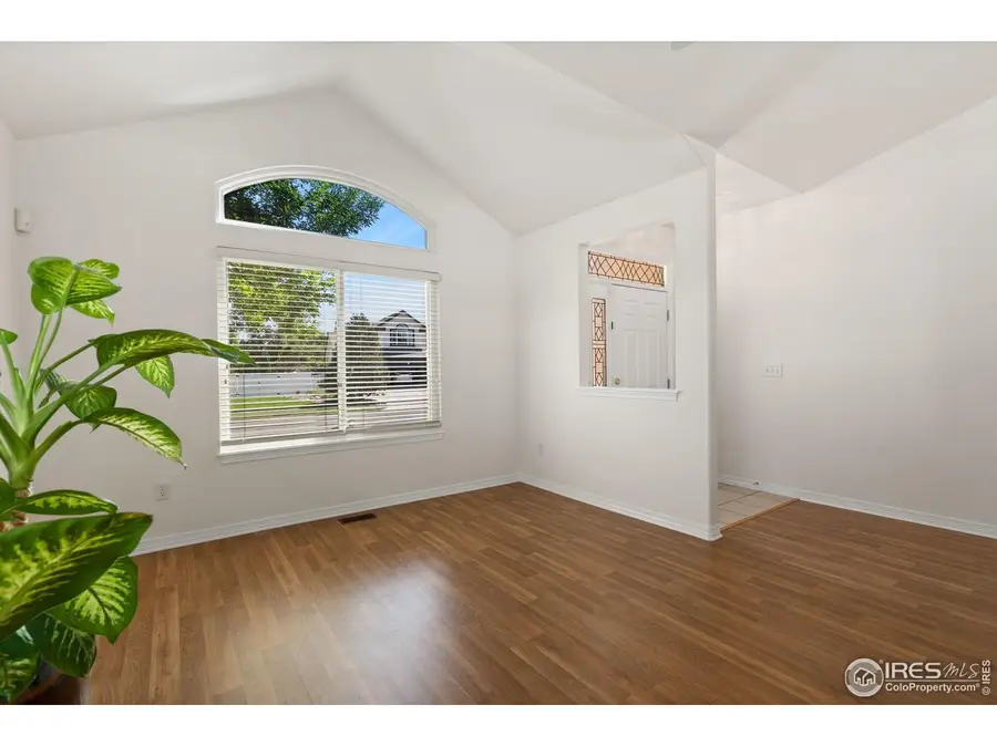 232 Cattail Bay Ct, Windsor, CO 80550 - #3