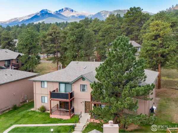 1155 S Saint Vrain Ave #3-3, Estes Park, CO 80517