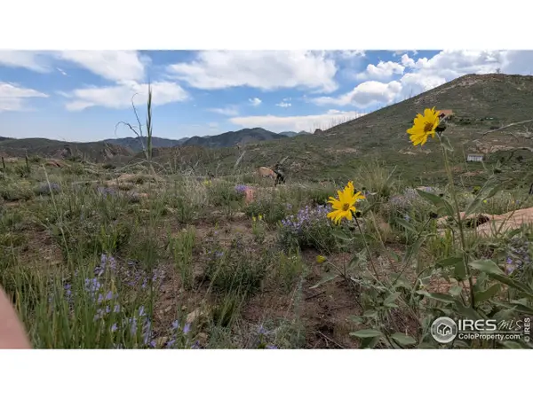 1324 Meadow Mountain Dr, Livermore, CO 80536