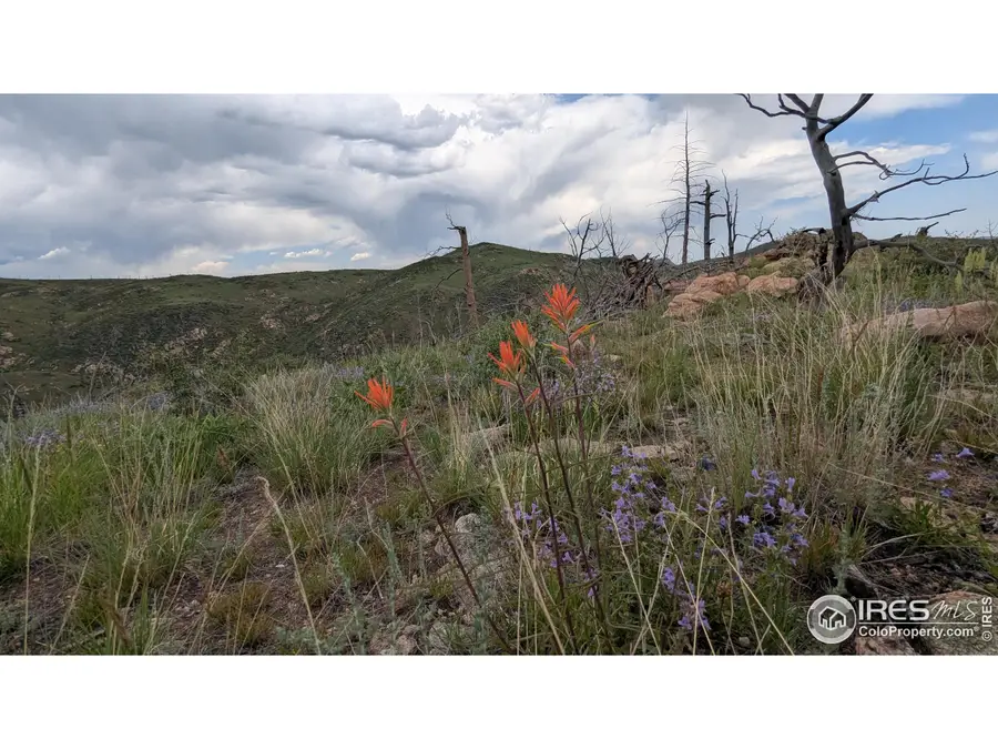 1324 Meadow Mountain Dr, Livermore, CO 80536 - Image #2