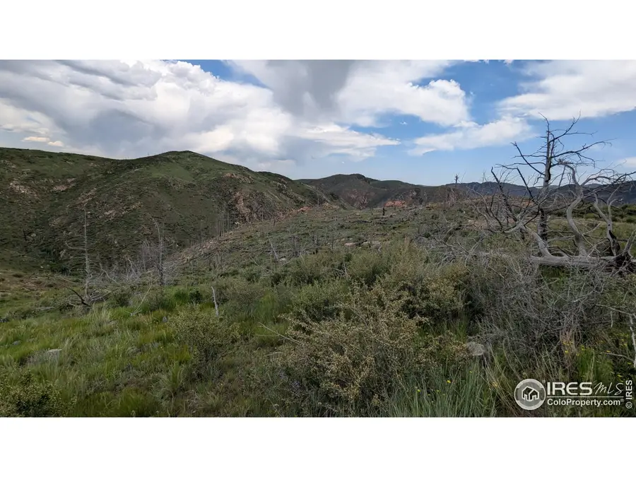 1324 Meadow Mountain Dr, Livermore, CO 80536 - Image #3