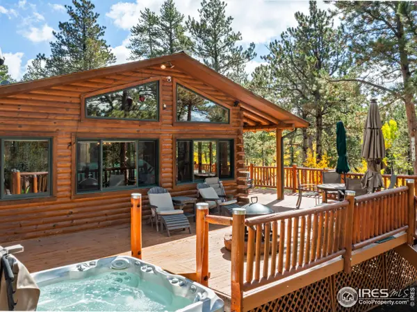 747 Coyote Hill Rd, Allenspark, CO 80510