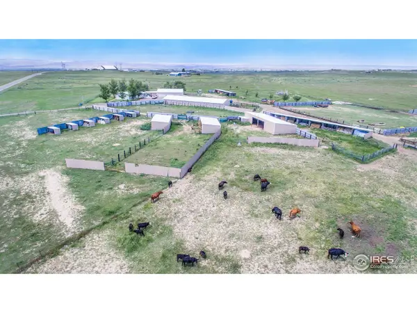 7557 County Road 100, Wellington, CO 80549