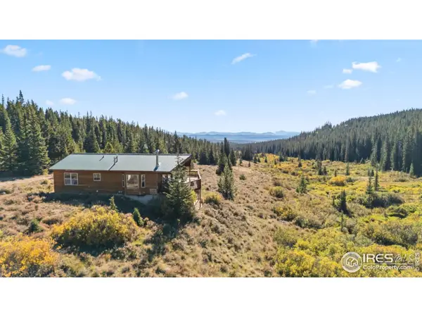 162 S Silk Sisters Pl, Fairplay, CO 80440