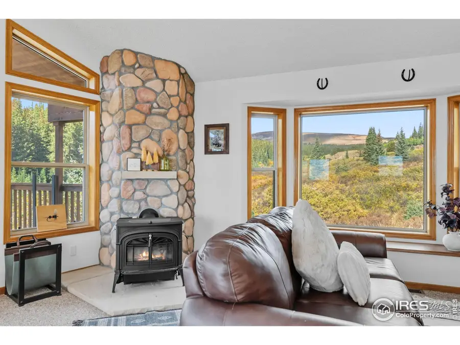 162 S Silk Sisters Pl, Fairplay, CO 80440 - Image #3