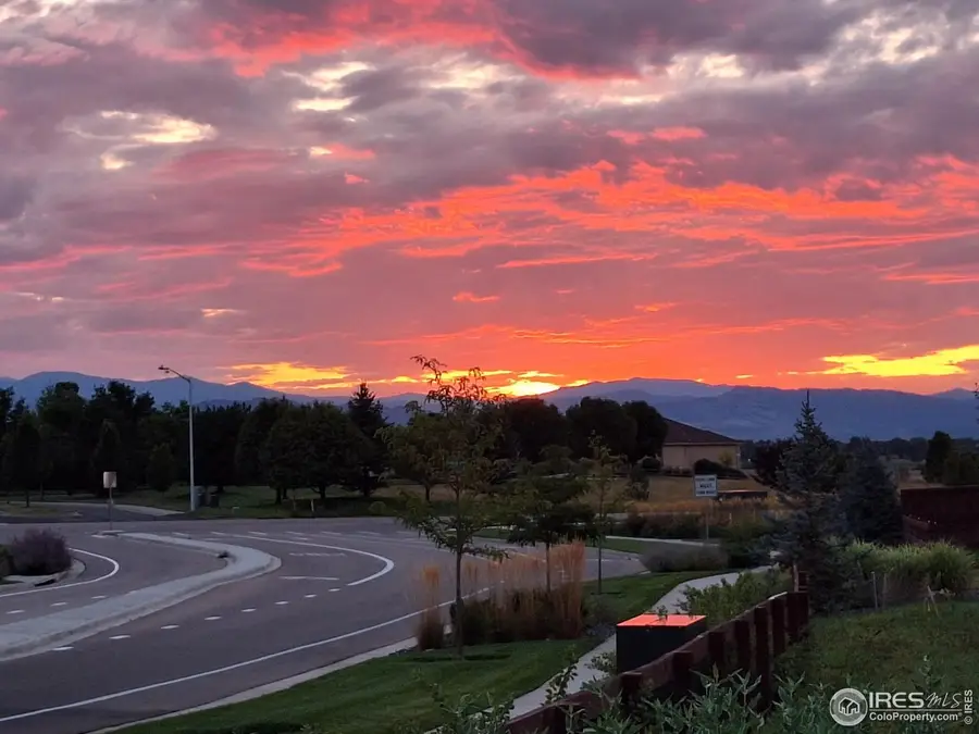 1813 Garden Flourish Ct, Windsor, CO 80550 - #2