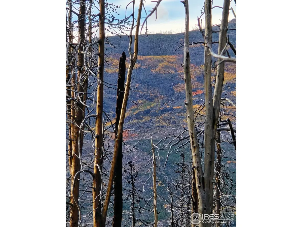 75 Sheep Horn Ct, Bellvue, CO 80512 - Image #1