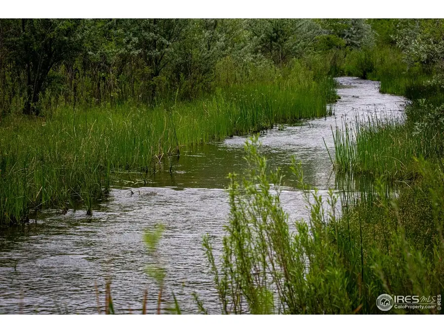 1796 Serene Pl, Berthoud, CO 80513 - #3