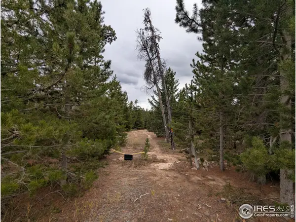 44 Catamount Ct, Red Feather Lakes, CO 80545