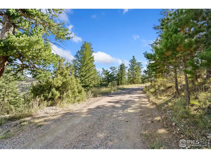 90 Sunlight Cir, Livermore, CO 80536 - #3