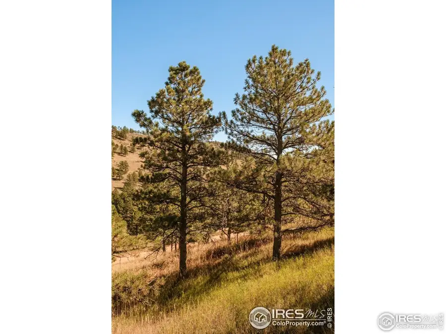 6365 Red Hill Rd, Boulder, CO 80302 - #3