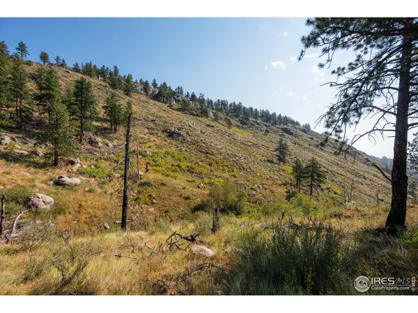 0 Pine Acres, Bellvue, CO 80512