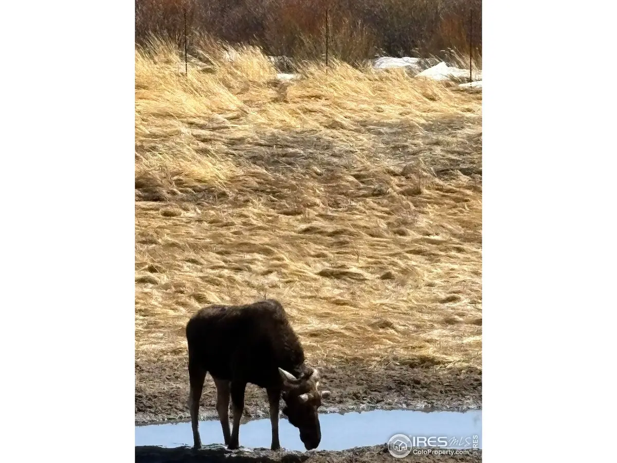 1565 Highway 66 #33, Estes Park, CO 80517 - Image #1