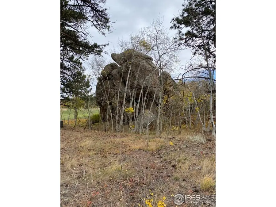 0 Northwoods Dr, Red Feather Lakes, CO 80545 - #3
