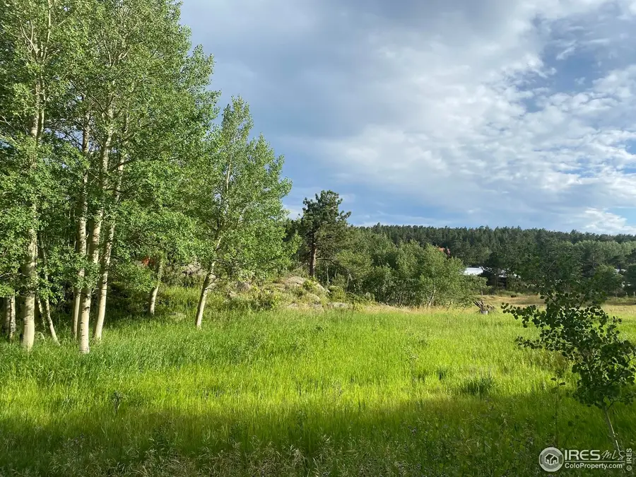 24 Hickok Trl, Ward, CO 80481 - #2